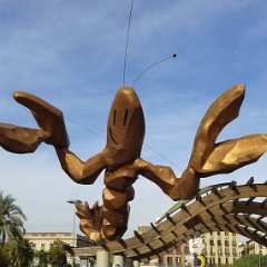 IMG 343
